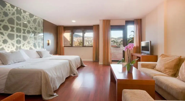 Двухместный номер Standard Hotel Granada Palace