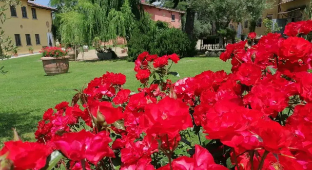 Коттедж c 1 комнатой Podere Piandarca