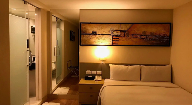Двухместный номер Standard Delton Hotel