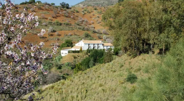 Коттедж Rural Montes Málaga: Cortijo La Palma
