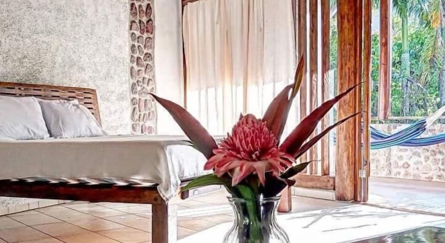 Номер Standard Omega Tours Adventure Company & Eco Jungle Lodge