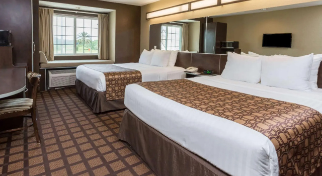 Четырёхместный номер Standard Microtel Inn & Suites by Wyndham Jacksonville Airport