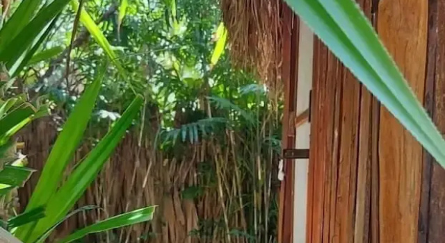 Номер Standard LULÚ La Bruja Yoga Lodge