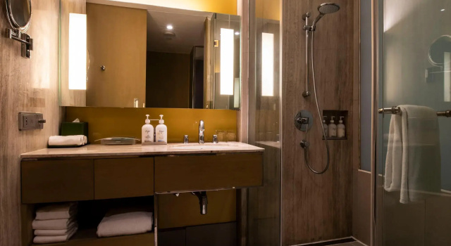 Двухместный номер Standard Holiday Inn New Delhi Aerocity by IHG