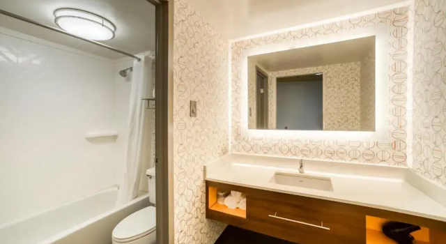 Двухместный номер Standard Holiday Inn Mobile Downtown Historic District by IHG