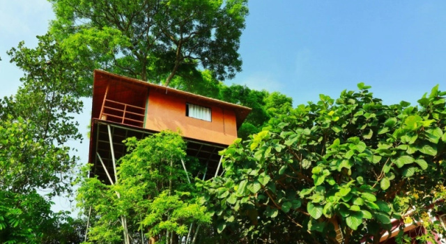Коттедж Vythiri Meadows Hotel