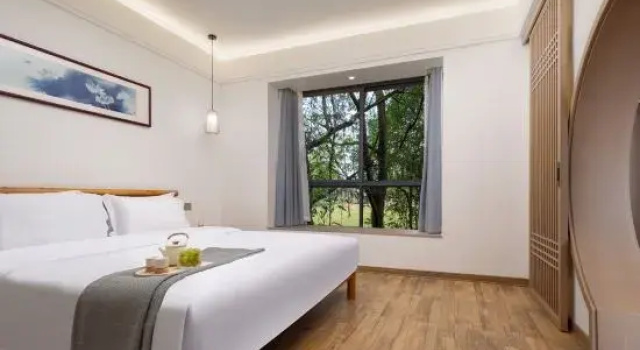 Люкс Deluxe Yangmeiting Yizhan Homestay (Jingdezhen Sanbao Branch)