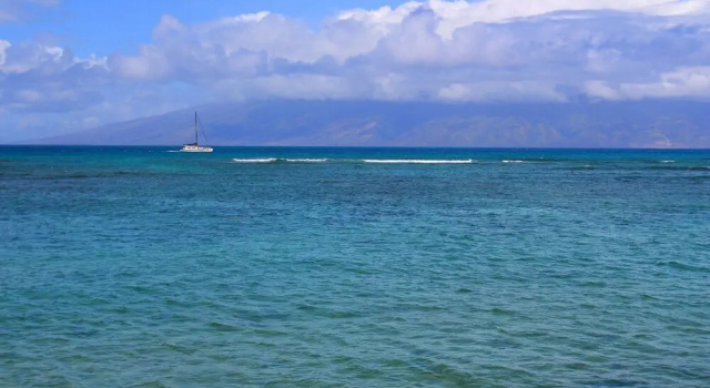 Kahana Reef 116 by RedAwning, Забронировать Апартаменты/квартира Кахана 
