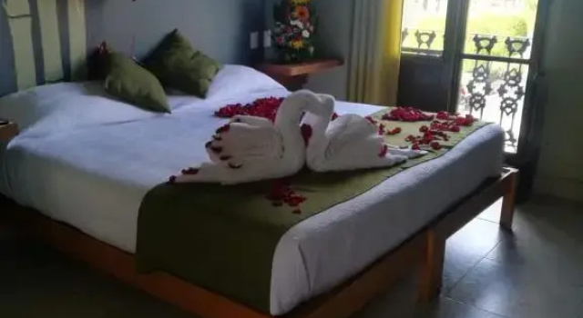 Номер Standard Hotel Plaza Queretaro