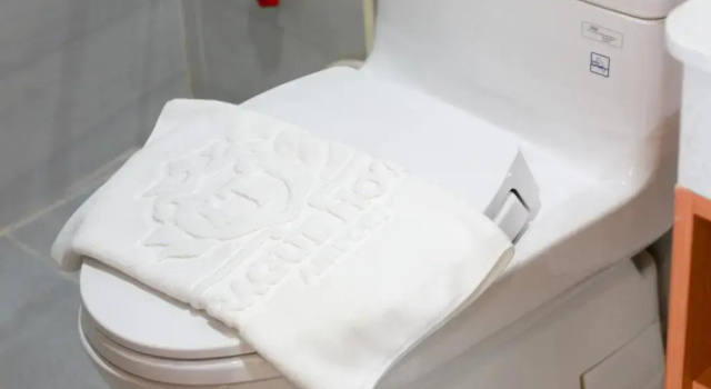 Номер Standard Prague Saigon Airport Hotel