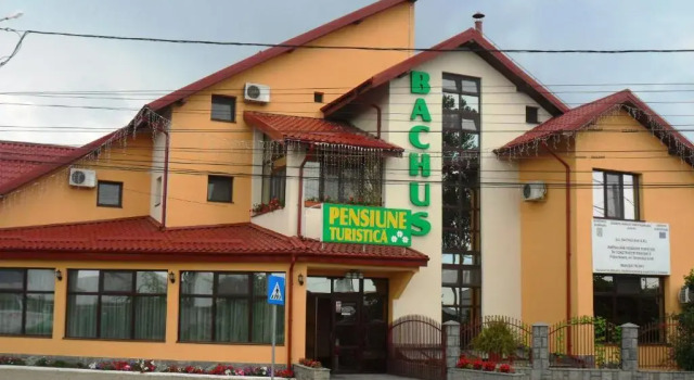Pensiunea Bachus, Забронировать Отель Пьятра-Нямц Нямц