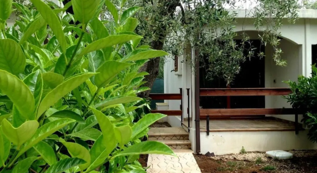 Коттедж с 2 комнатами с балконом и с видом на сад Holiday Apartment orchidea with swimming pool and private beach -3