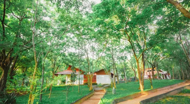 Люкс Vaana Resort