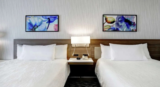 Четырёхместный номер Standard Hilton Garden Inn Toronto/Ajax