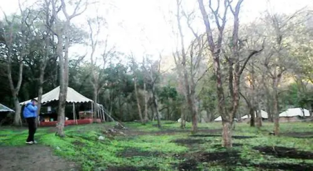 Camp Leopard Heights, Rezerwuj Hotel Byasi Uttarakhand