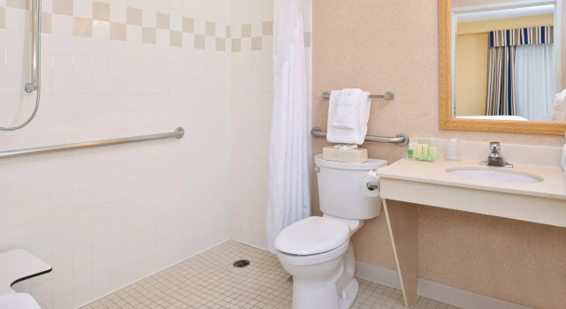 Двухместный номер Standard Holiday Inn & Suites Chicago-Downtown by IHG