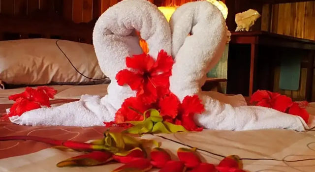 Номер Standard c 1 комнатой Ciudad Perdida EcoLodge