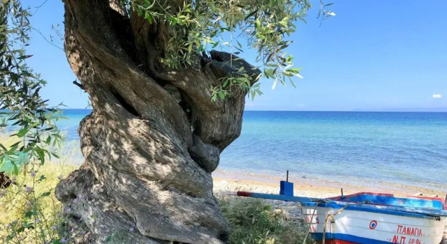 Вилла Luxury Byblos Luxury Villa