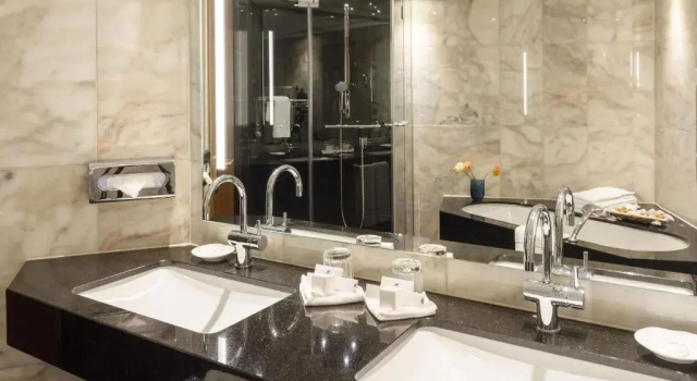 Двухместный полулюкс Maritim Hotel Ulm