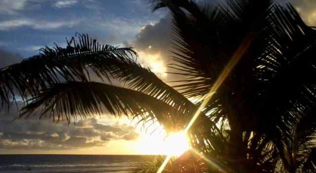 The Passage Villas, Rezervovat Apartmánový hotel Rarotonga hotely se snídaní, Snídaně