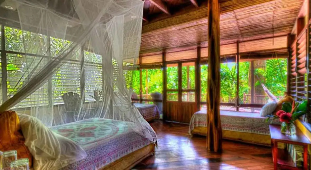 Номер Luxury Iguana Lodge Beach Resort