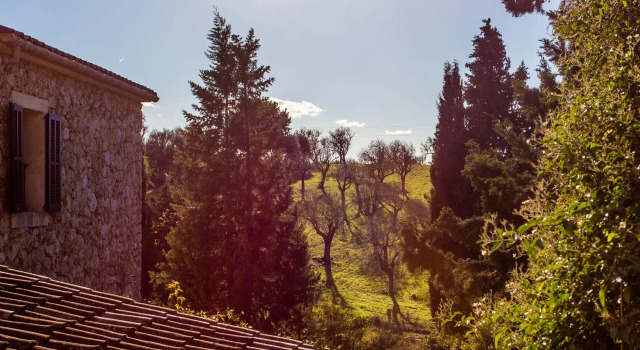 Agroturismo Son Fogueró - Adults Only, Забронировать Отель Мария-де-ла-Салуд Майорка