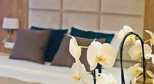 Двухместный номер Deluxe Hotel Ines