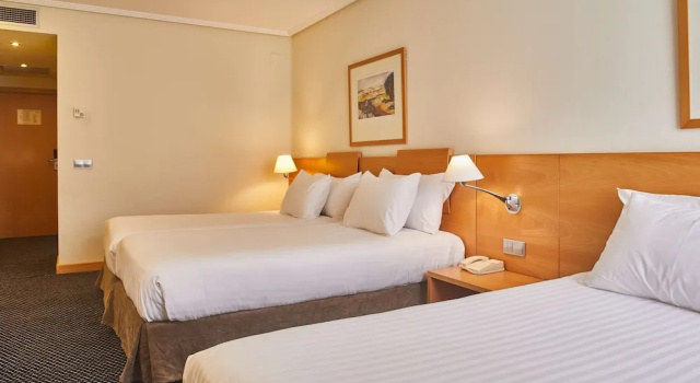 Трёхместный номер Standard Eurostars Rey Alfonso X