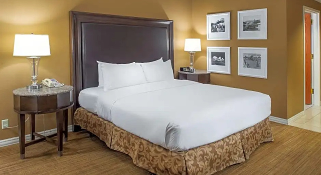Двухместный номер Executive Hilton St. Louis Airport