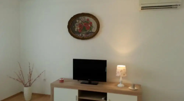 Apartment Branko