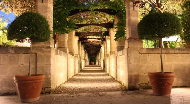 Одноместный номер Standard Hotel Del Campo