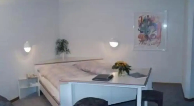 Двухместный номер Standard Hotel Viktoria Eden