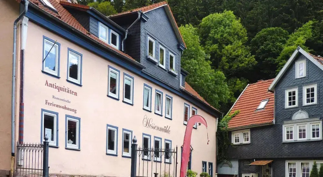 Ferienwohnung, Friedrichroda