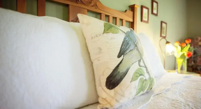 Люкс бөлме Julian Lodge