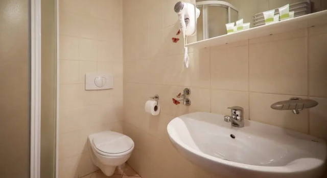 Двухместный номер Standard с видом на горы Hotel Pod Jedlami