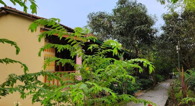 Коттедж Deluxe с балконом Rhino Land Jungle Lodge