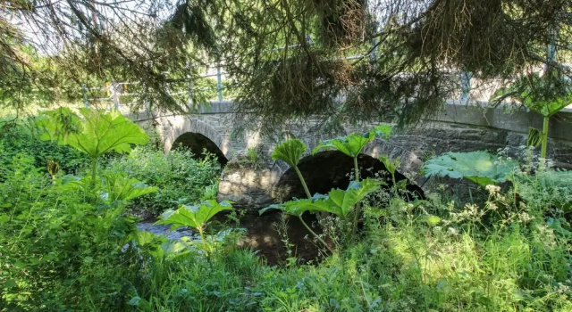 Mökki Walkmill Barn