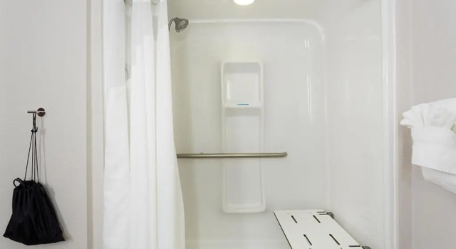 Номер Standard Holiday Inn Express Hotel & Suites Tampa-Fairgrounds-Casino by IHG