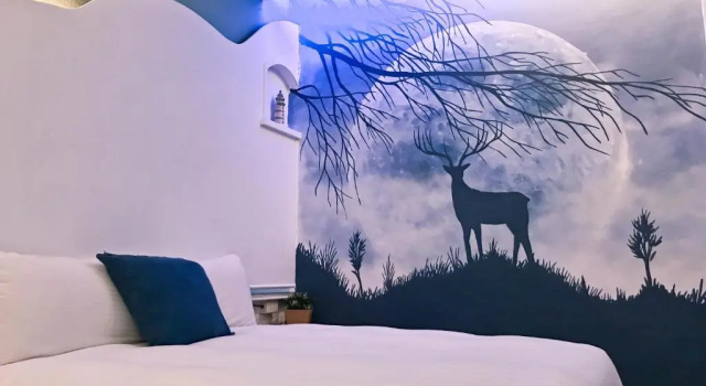 Четырёхместный номер Comfort Deer Moon Hostel