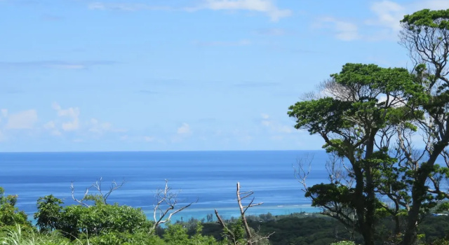 Четырёхместный номер Standard с балконом Okinawa Freedom