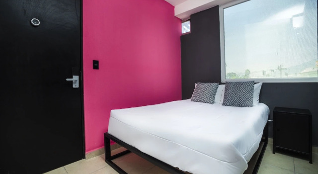 Номер Standard Adhoc Cintermex