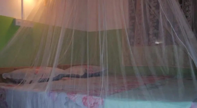 Номер Standard Arnes Place