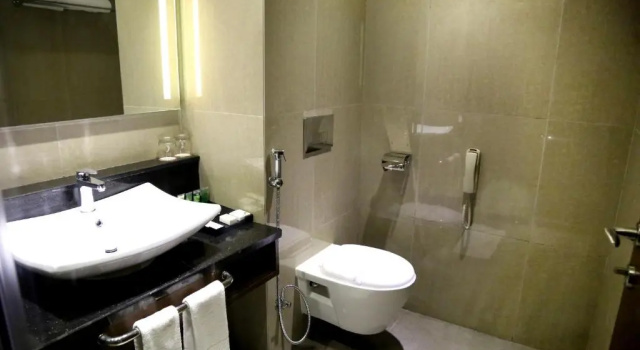 Двухместный номер Standard Hotel Shakti Continental