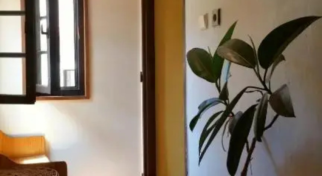 Кровать в общем номере Hostel Merlin