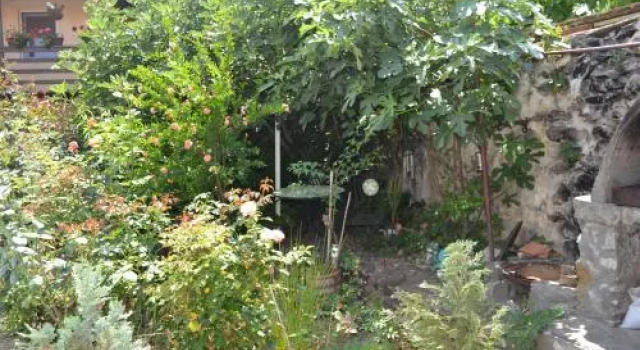 Casa de Oaspeti Dunarea la Cazane, Varaa Hotelli Dubova Mehedinti