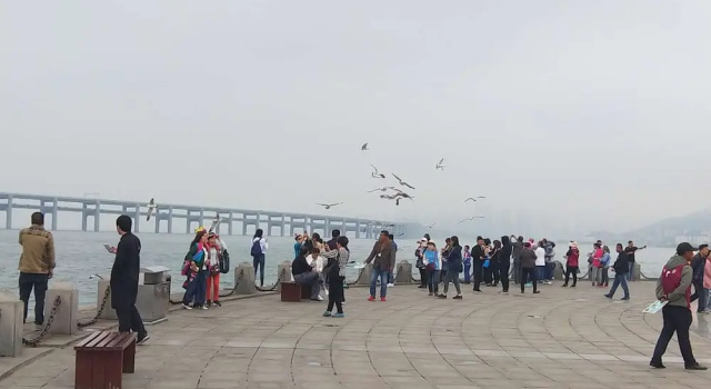 Xinghai Exhibition Center Apartment, Забронировать Апартаменты/квартира Апартаменты Даляня, Апартаменты/квартира