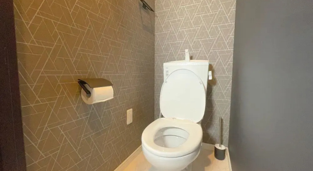 Люкс Deluxe Mr Kintaro Hotel Asakusa South