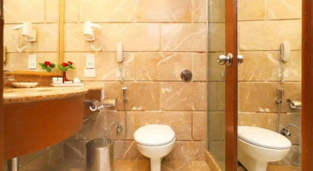 Двухместный номер Deluxe Hotel The Royal Plaza
