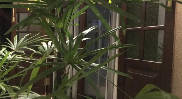 Номер Economy The Entrance Galle Fort