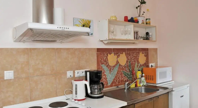 Люкс Rodinné ubytování Debrné